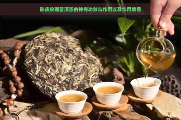 陳皮玫瑰普洱茶的神奇功效與作用以及飲用禁忌