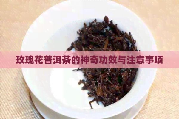 玫瑰花普洱茶的神奇功效與注意事項(xiàng)