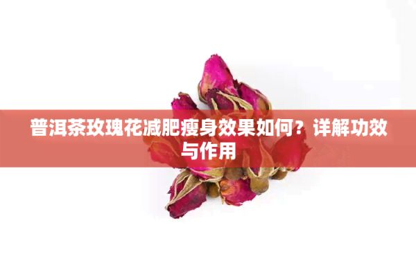普洱茶玫瑰花減肥瘦身效果如何？詳解功效與作用