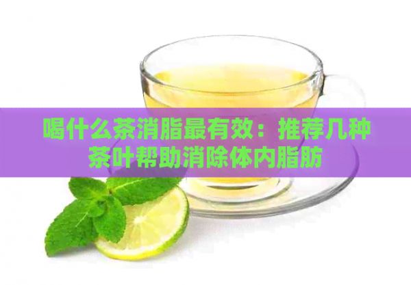 喝什么茶消脂最有效：推荐几种茶叶帮助消除体内脂肪