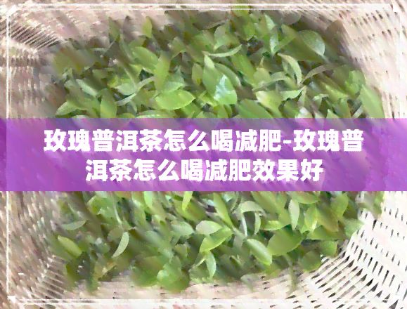 玫瑰普洱茶怎么喝减肥-玫瑰普洱茶怎么喝减肥效果好