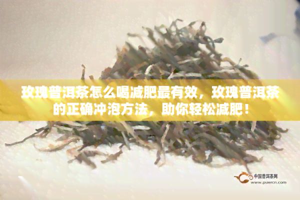 玫瑰普洱茶怎么喝减肥最有效，玫瑰普洱茶的正确冲泡方法，助你轻松减肥！