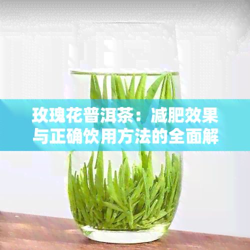 玫瑰花普洱茶：减肥效果与正确饮用方法的全面解析