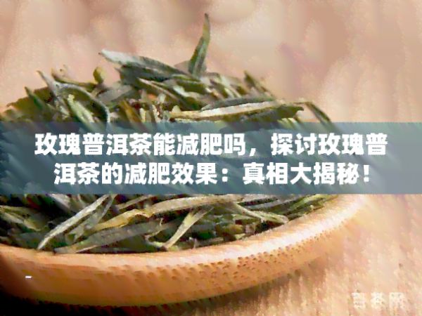 玫瑰普洱茶能减肥吗，探讨玫瑰普洱茶的减肥效果：真相大揭秘！