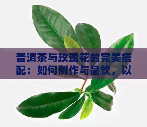 普洱茶与玫瑰花的完美搭配：如何制作与品饮，以及它们的功效和注意事项