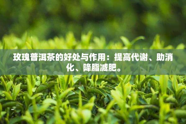 玫瑰普洱茶的好處與作用：提高代謝、助消化、降脂減肥。