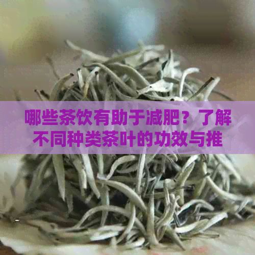 哪些茶飲有助于減肥？了解不同種類茶葉的功效與推薦