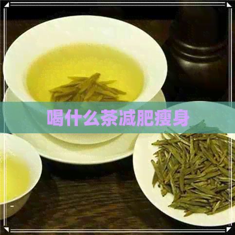 喝什么茶减肥瘦身