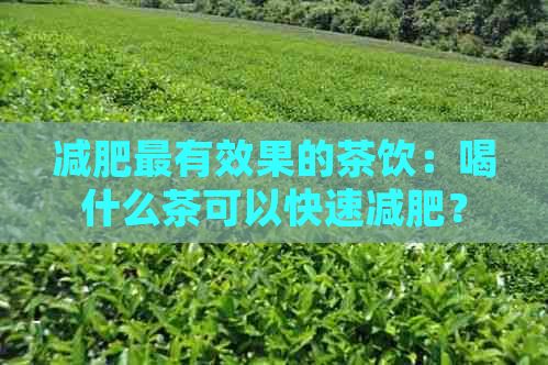 減肥最有效果的茶飲：喝什么茶可以快速減肥？