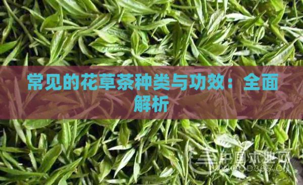 常见的花草茶种类与功效：全面解析