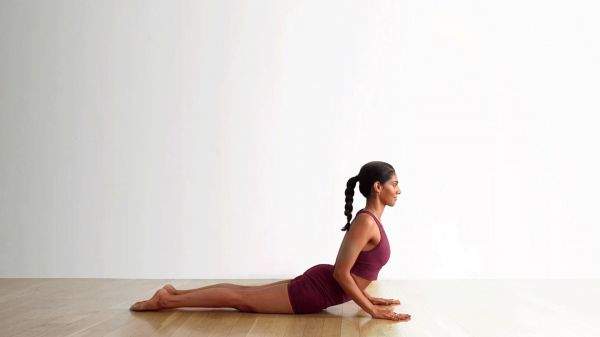 低位眼镜蛇式 Ardha Bhujangasana
