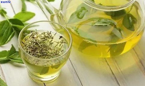 促進消化的茶葉有哪些