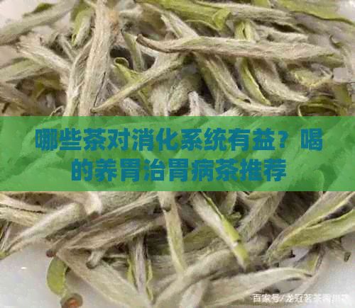 哪些茶對消化系統(tǒng)有益？喝的養(yǎng)胃治胃病茶推薦