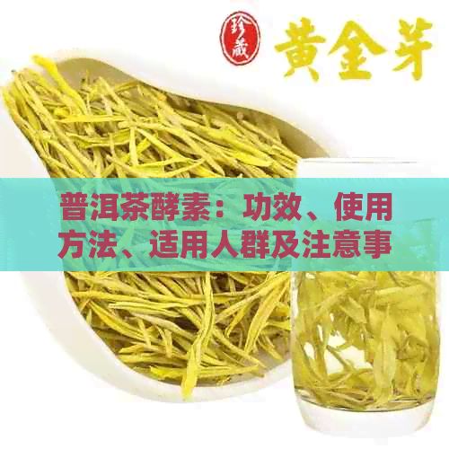 普洱茶酵素：功效、使用方法、适用人群及注意事项，全面解答您的疑问