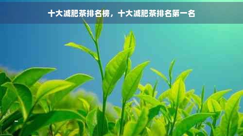 十大减肥茶排名榜，十大减肥茶排名之一名