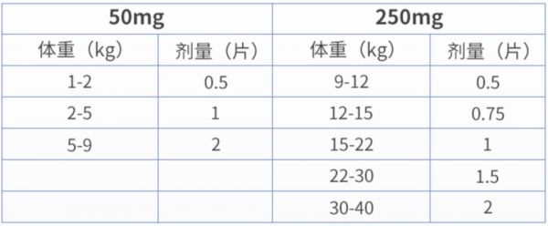 猫咪速诺该怎么使用？（猫咪速诺的使用说明）