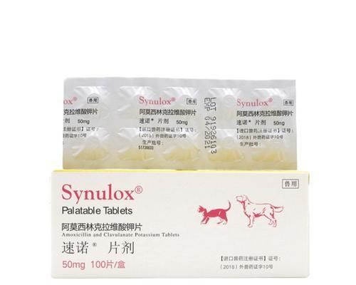 如何正确使用猫咪速诺（宠物的健康需要你的关注）