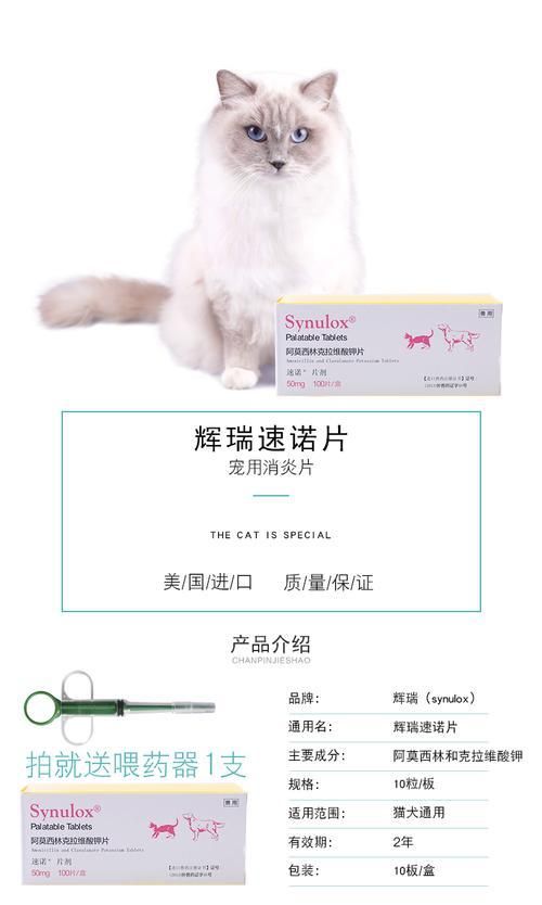如何正确使用猫咪速诺（宠物的健康需要你的关注）