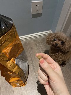 養(yǎng)狗六年，我終于遇到了最棒的狗糧！