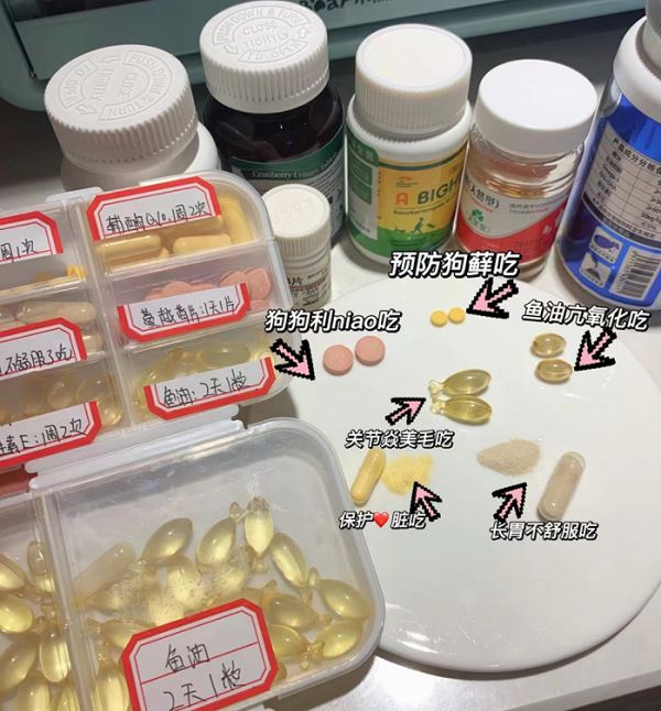 小紅書上，有用戶曬出家中老年犬的保健品
