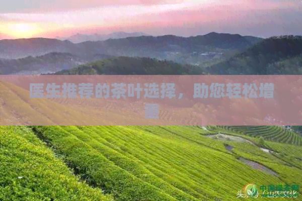 醫(yī)生推薦的茶葉選擇，助您輕松增重