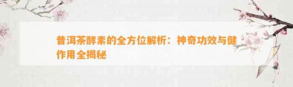 普洱茶酵素的全方位解析：神奇功效与健作用全揭秘