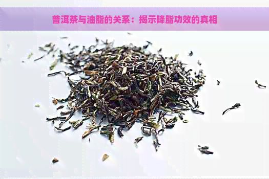 普洱茶与油脂的关系：揭示降脂功效的真相