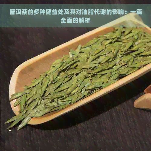 普洱茶的多种健益处及其对油脂代谢的影响：一篇全面的解析