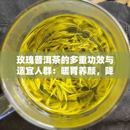 玫瑰普洱茶的多重功效与适宜人群：暖胃养颜，降脂益身