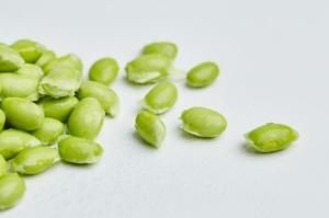 保持体重的5+2轻断食