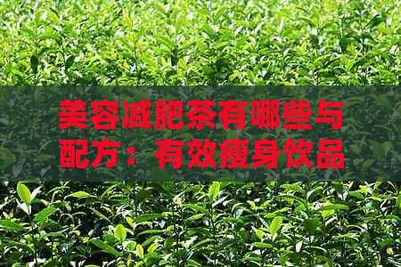 美容減肥茶有哪些與配方：有效瘦身飲品推薦
