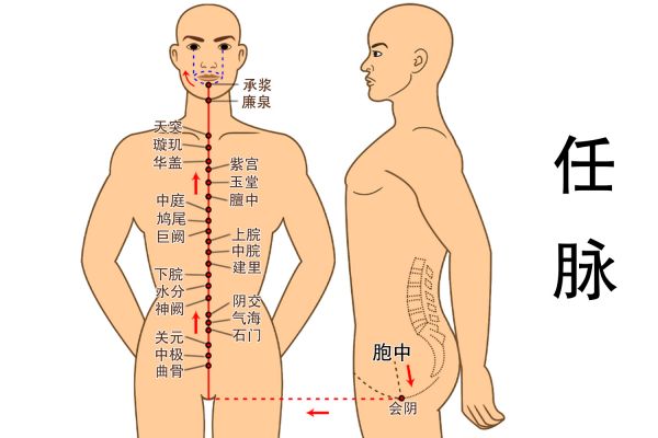 任脉图片