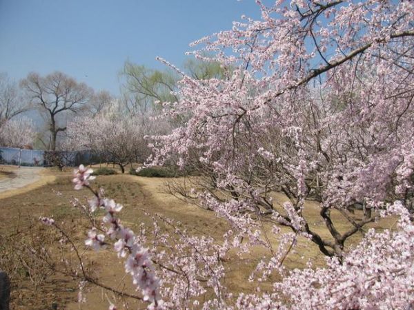 承古之精華6則減肥古方，只有老中醫(yī)才知道