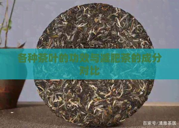 各種茶葉的功效與減肥茶的成分對比