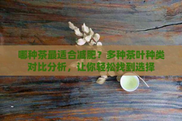 哪种茶最适合减肥？多种茶叶种类对比分析，让你轻松找到选择