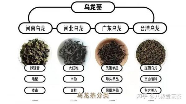 乌龙茶和红茶有什么区别？详细比较分析让你一目了然