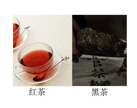 乌龙茶和红茶有什么区别？详细比较分析让你一目了然