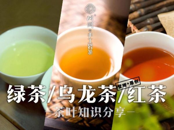 乌龙茶和红茶有什么区别？详细比较分析让你一目了然