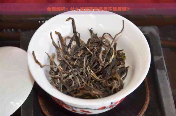 全面解析：什么减肥茶效果且不易反弹？