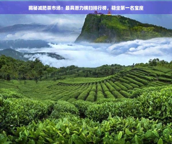 揭秘減肥茶市場：更具潛力橫掃排行榜，穩(wěn)坐之一名寶座