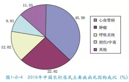 世界卫生组织健康定义解析，健康理念的深度洞察