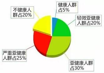 世界卫生组织健康定义解析，健康理念的深度洞察