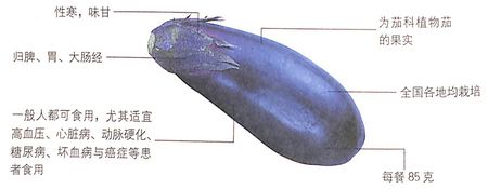 茄子的功效作用之预防脑血栓,降低胆固醇