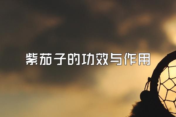紫茄子的功效与作用