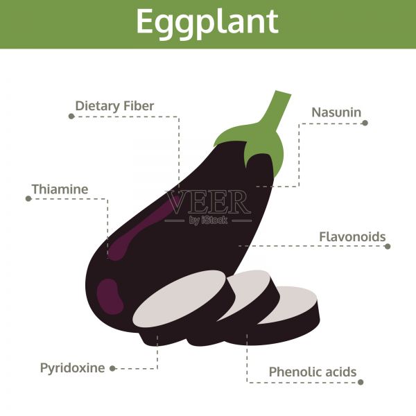 茄子的营养成分及健康益处，图文蔬菜资讯插画图片素材
