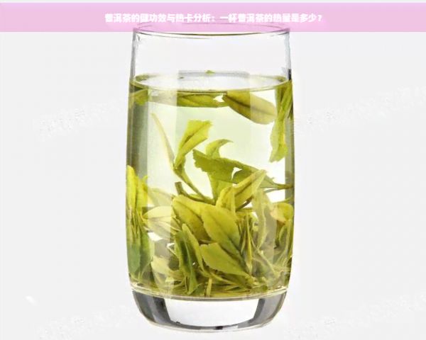 普洱茶的健功效與熱卡分析：一杯普洱茶的熱量是多少？