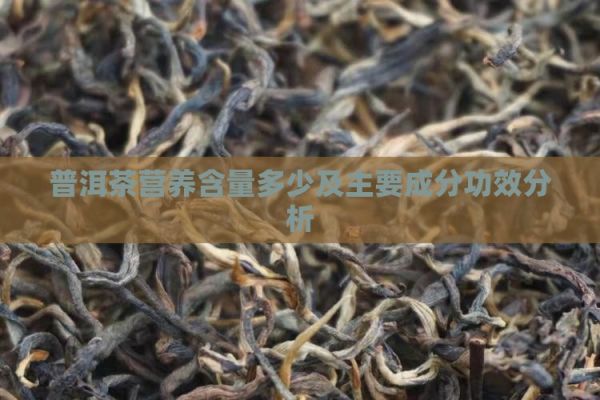 普洱茶营养含量多少及主要成分功效分析