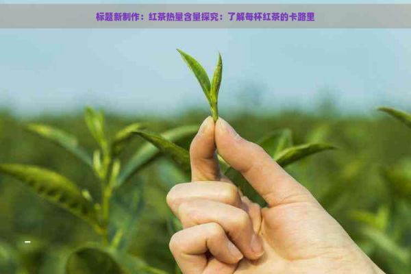 標(biāo)題新制作：紅茶熱量含量探究：了解每杯紅茶的卡路里