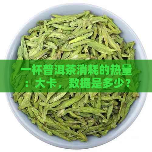 一杯普洱茶消耗的热量：大卡，数据是多少？