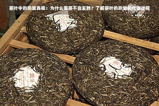 茶叶中的热量真相：为什么喝茶不会发胖？了解茶叶的热量和代谢过程